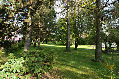 Garten mit Baumlandschaft Garten mit Baumlandschaft